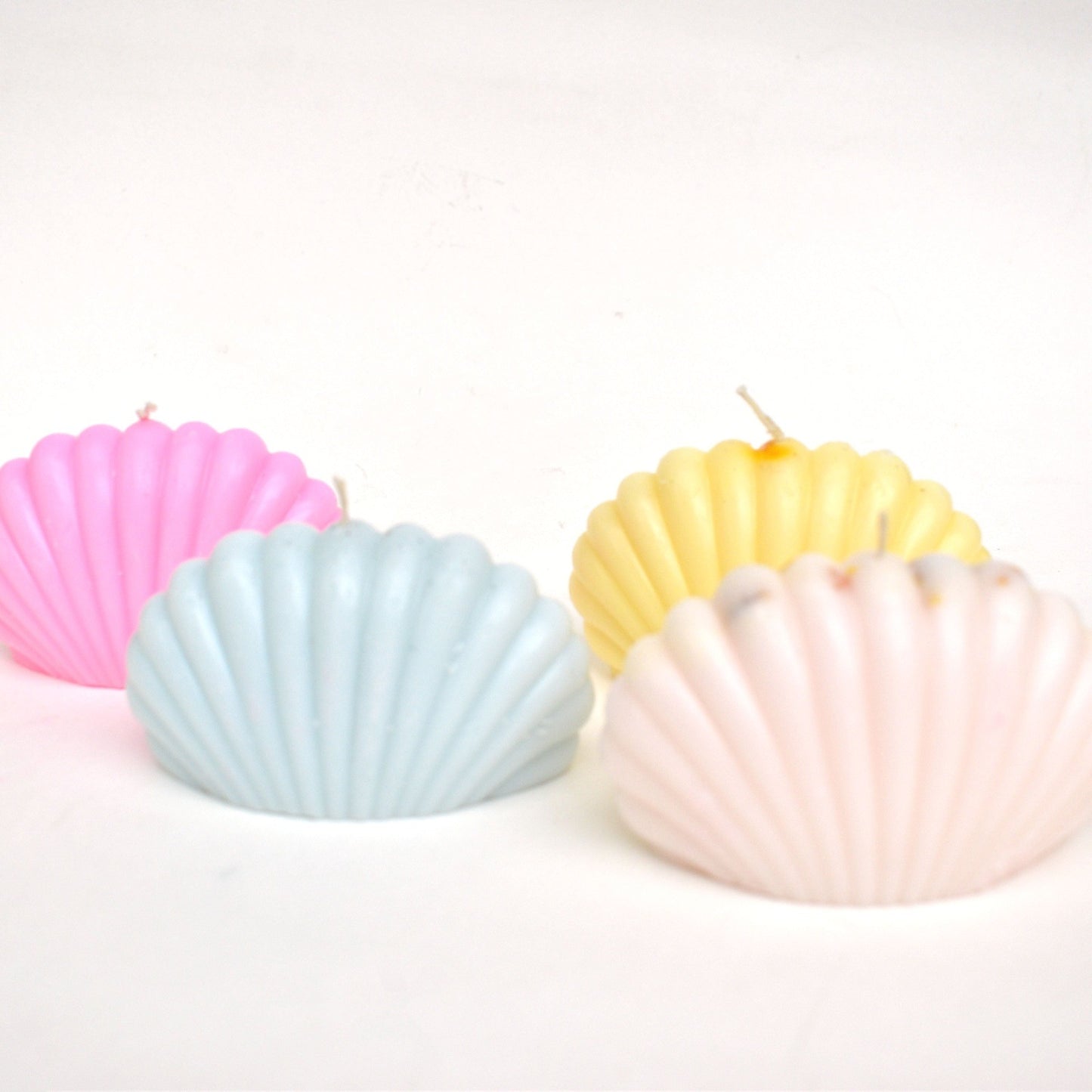 seashell candle with scent