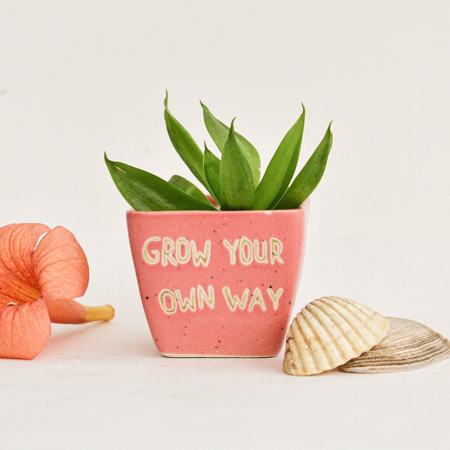 Ceramic Desk Planter - Grow Ceramic Desk Planter