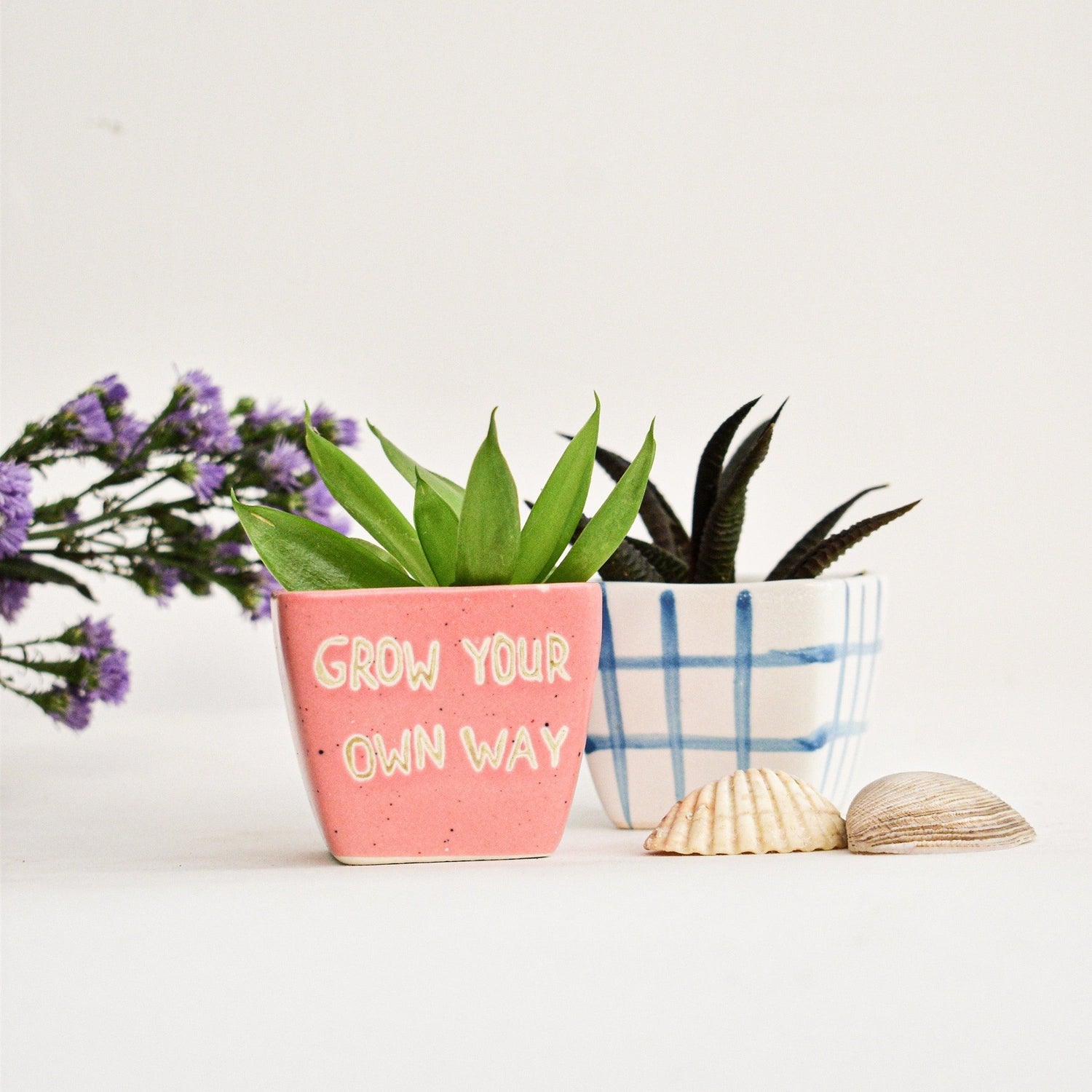 Ceramic Desk Planter - Grow Ceramic Desk Planter