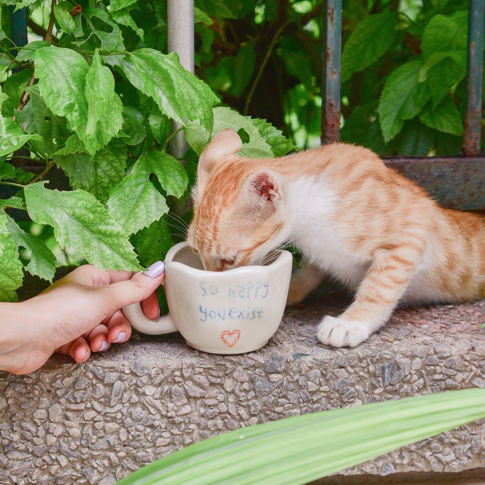 happy ceramic tea cups