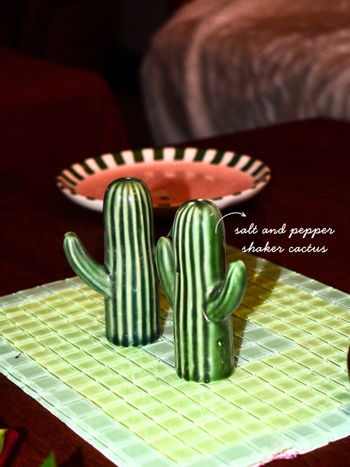 Salt & Pepper Shaker Set - Cactus