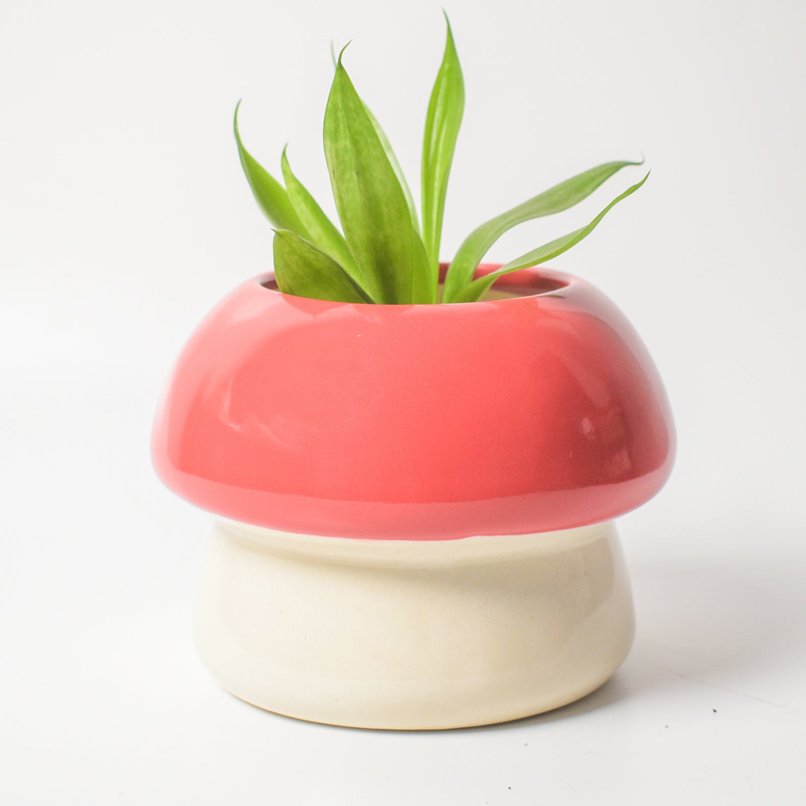 Ceramic Planter - Mushroom