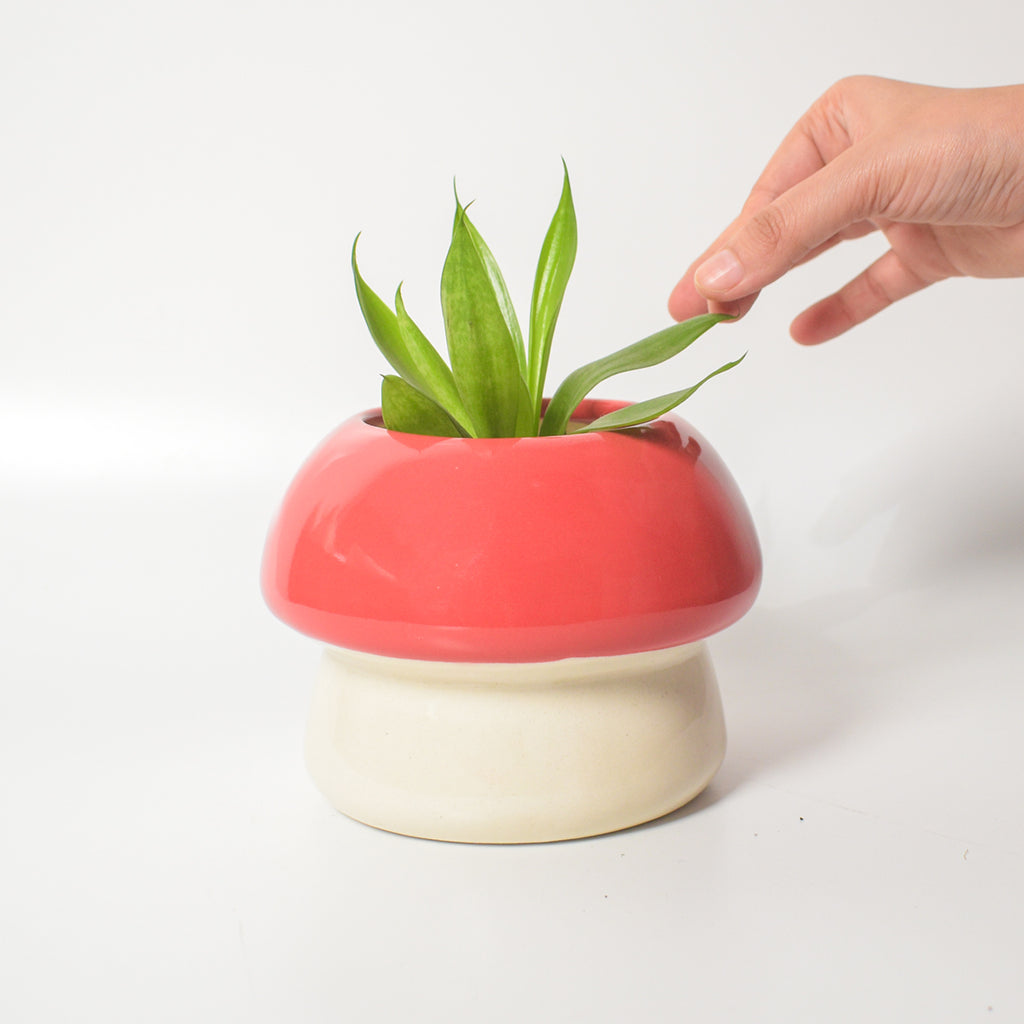 Ceramic Planter - Mushroom