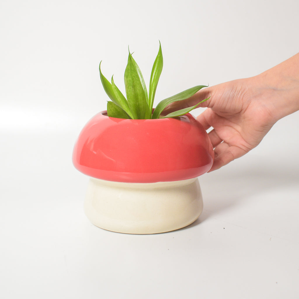 Ceramic Planter - Mushroom