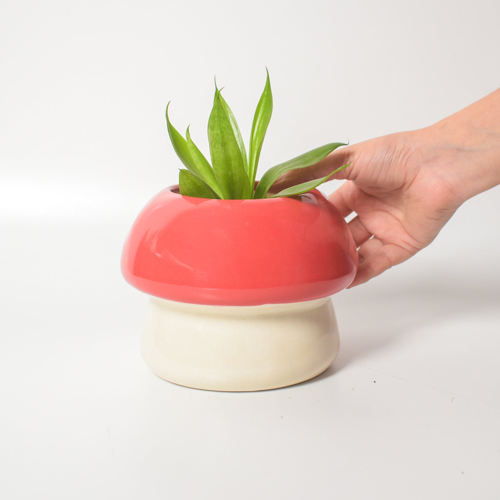 Ceramic Planter - Mushroom