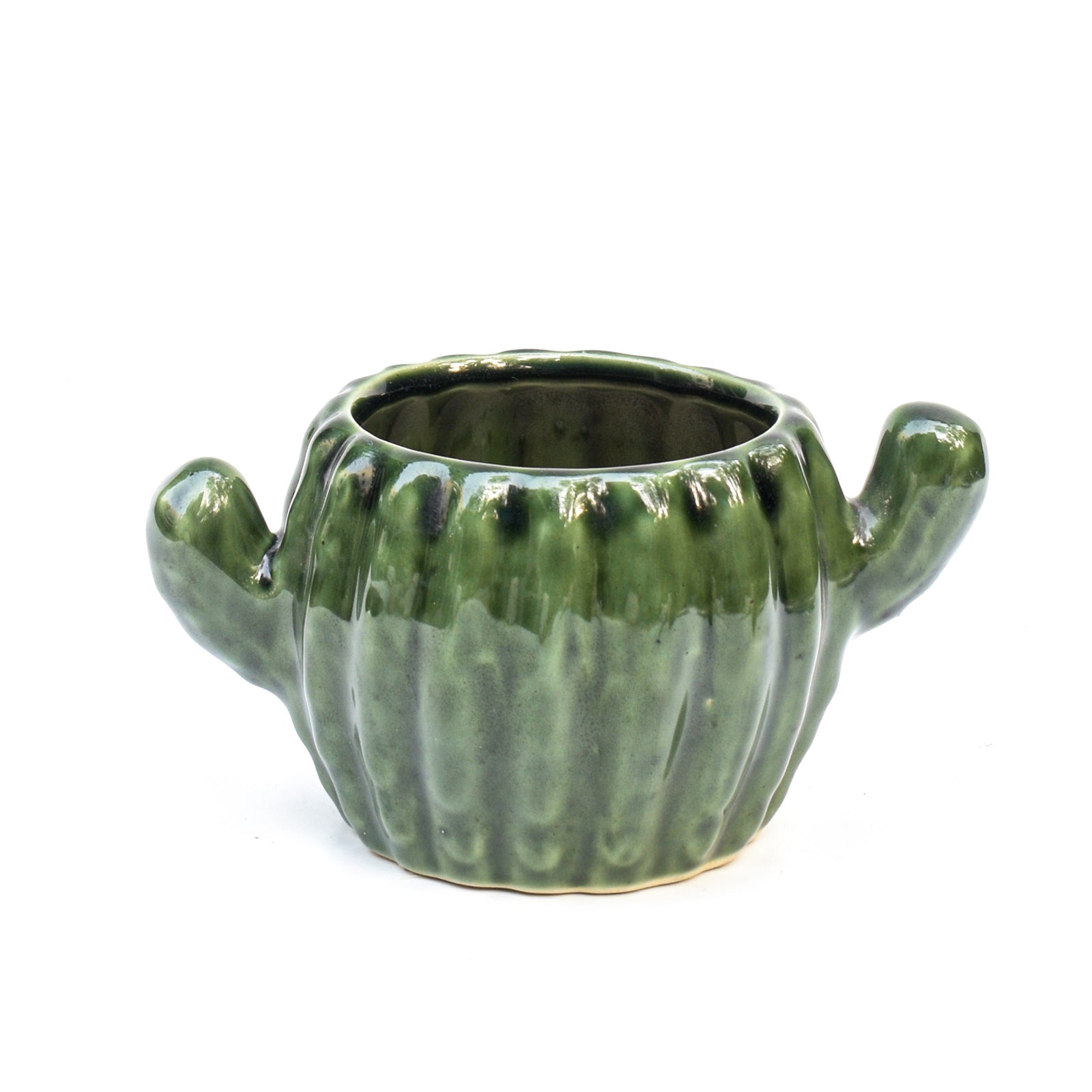 Ceramic Planter - Cactus ( Set of 2 )