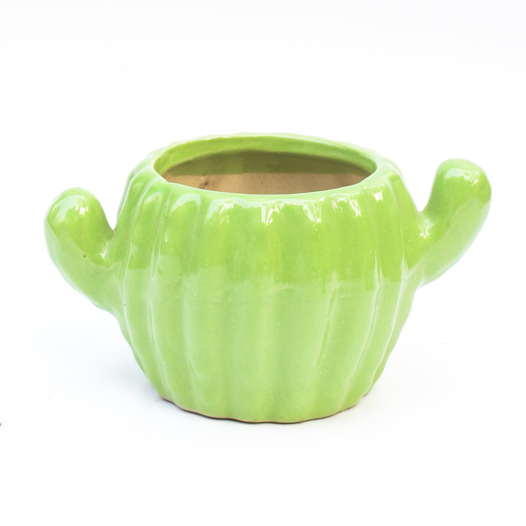 Ceramic Planter - Cactus ( Set of 2 )