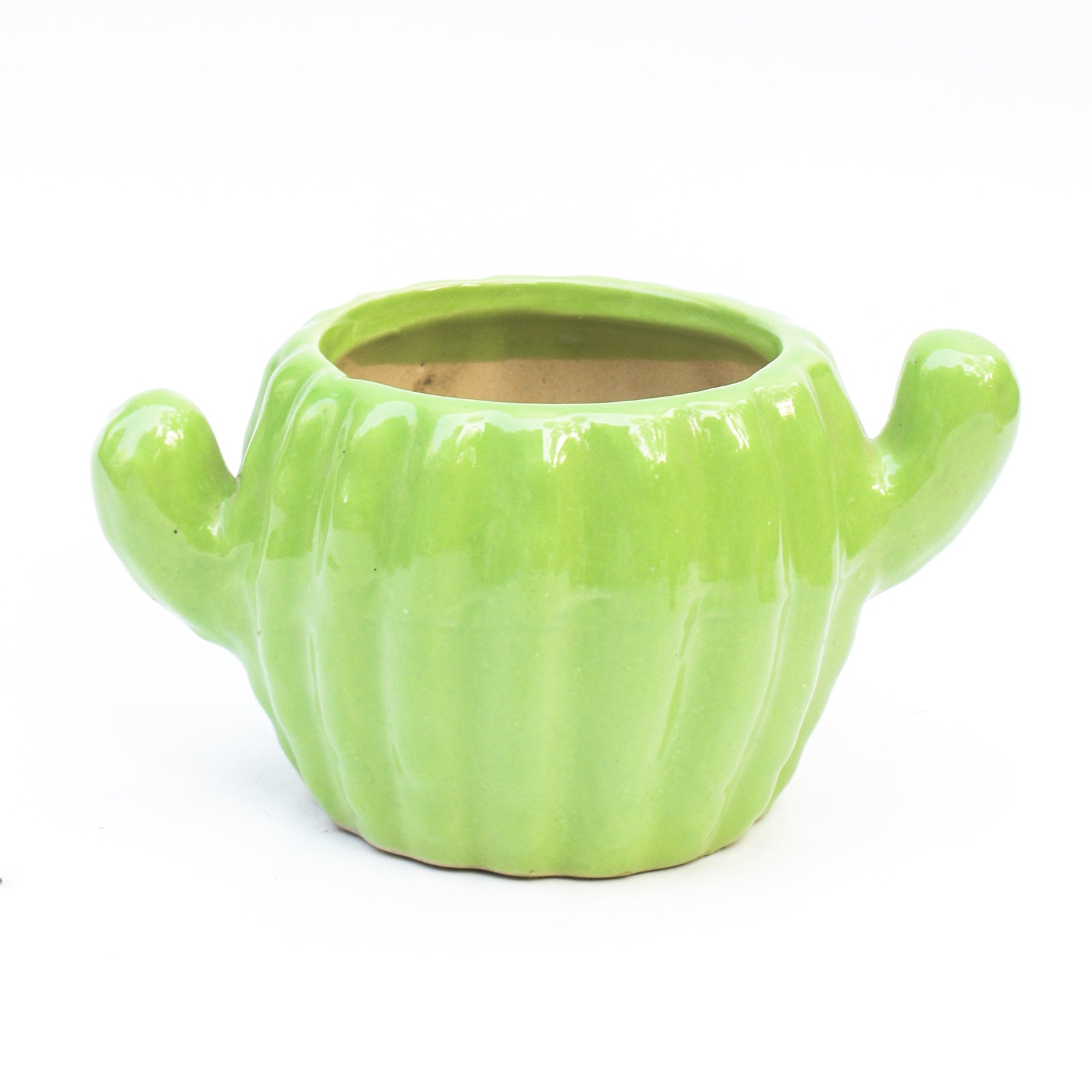 Ceramic Planter - Cactus ( Set of 2 )