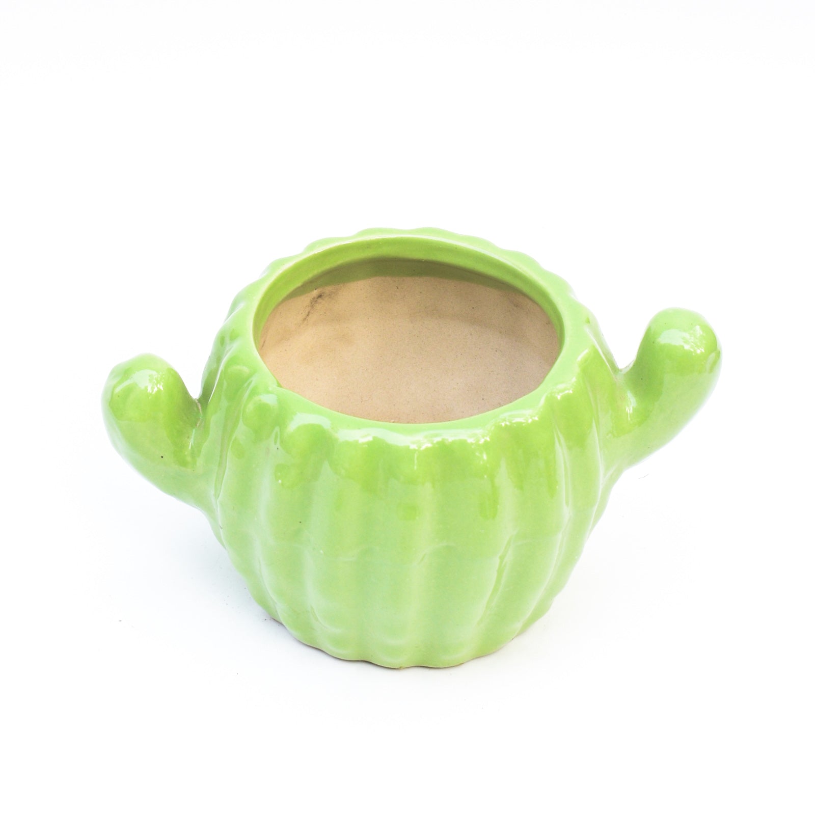 Ceramic Planter - Cactus ( Set of 2 )