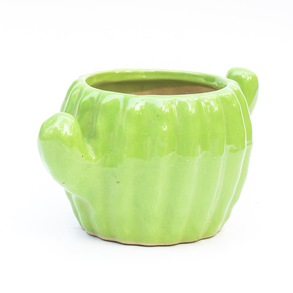 Ceramic Planter - Cactus ( Set of 2 )