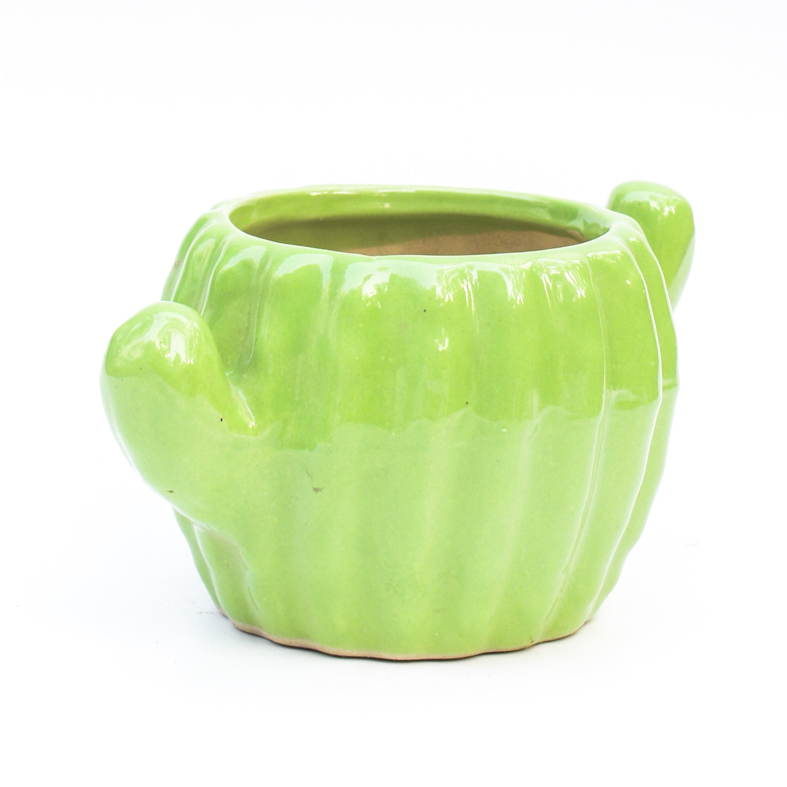 Ceramic Planter - Cactus ( Set of 2 )