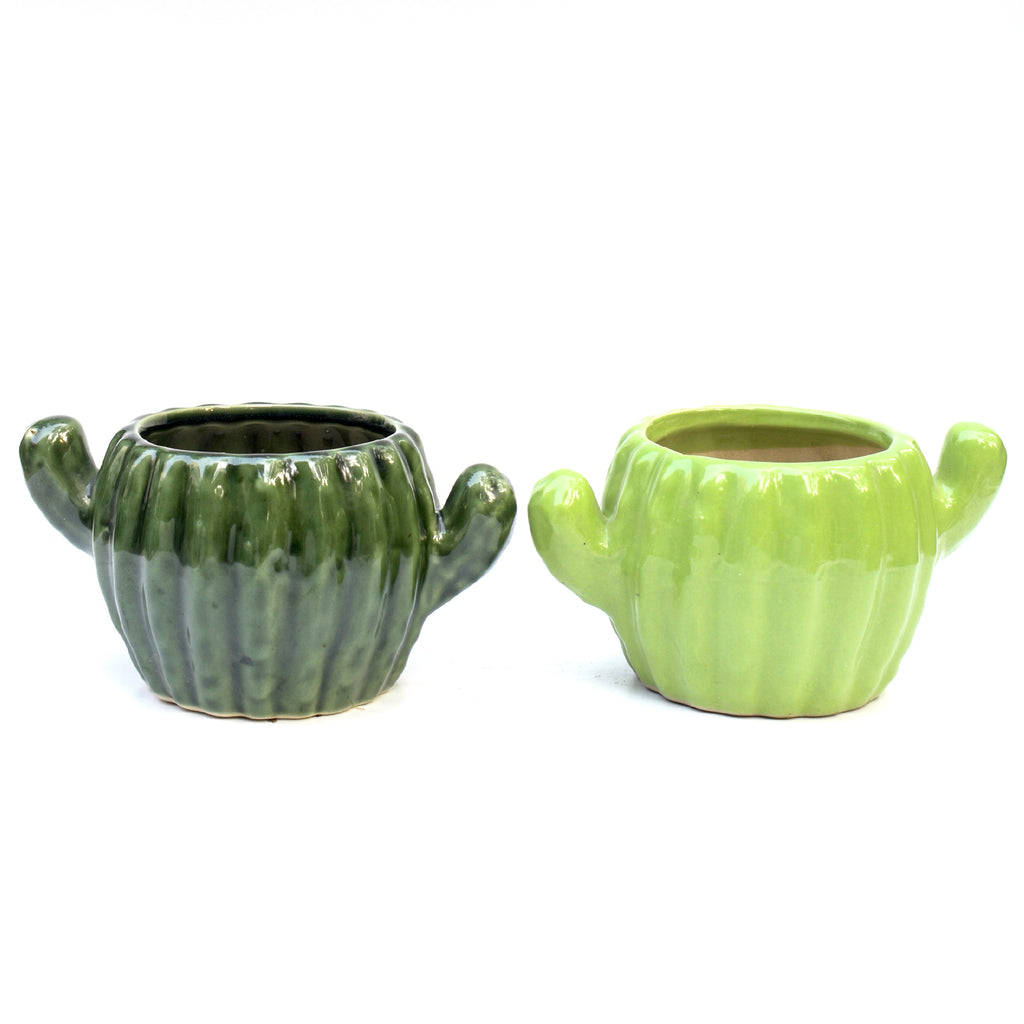 Ceramic Planter - Cactus ( Set of 2 )
