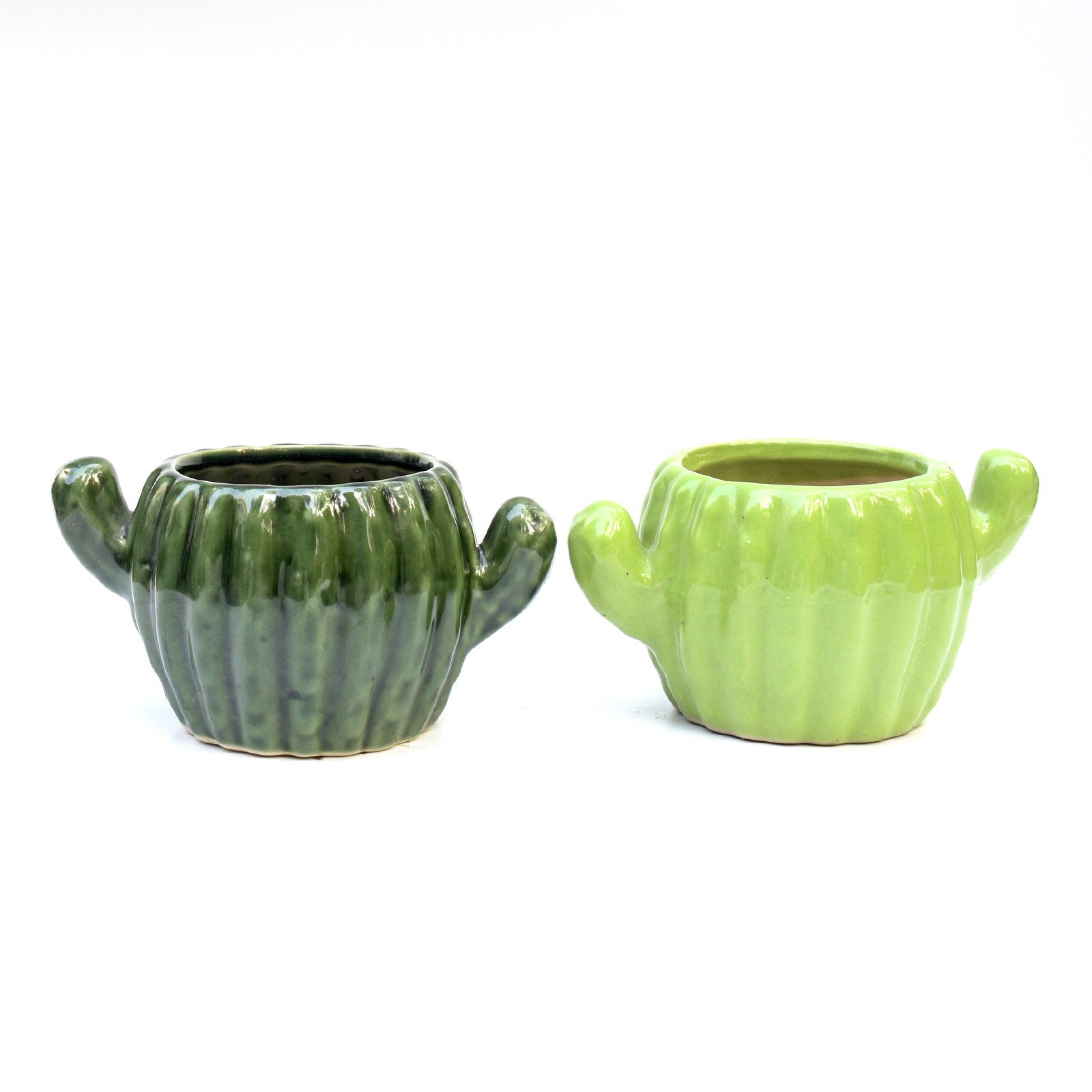 Ceramic Planter - Cactus ( Set of 2 )