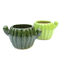 Ceramic Planter - Cactus ( Set of 2 )