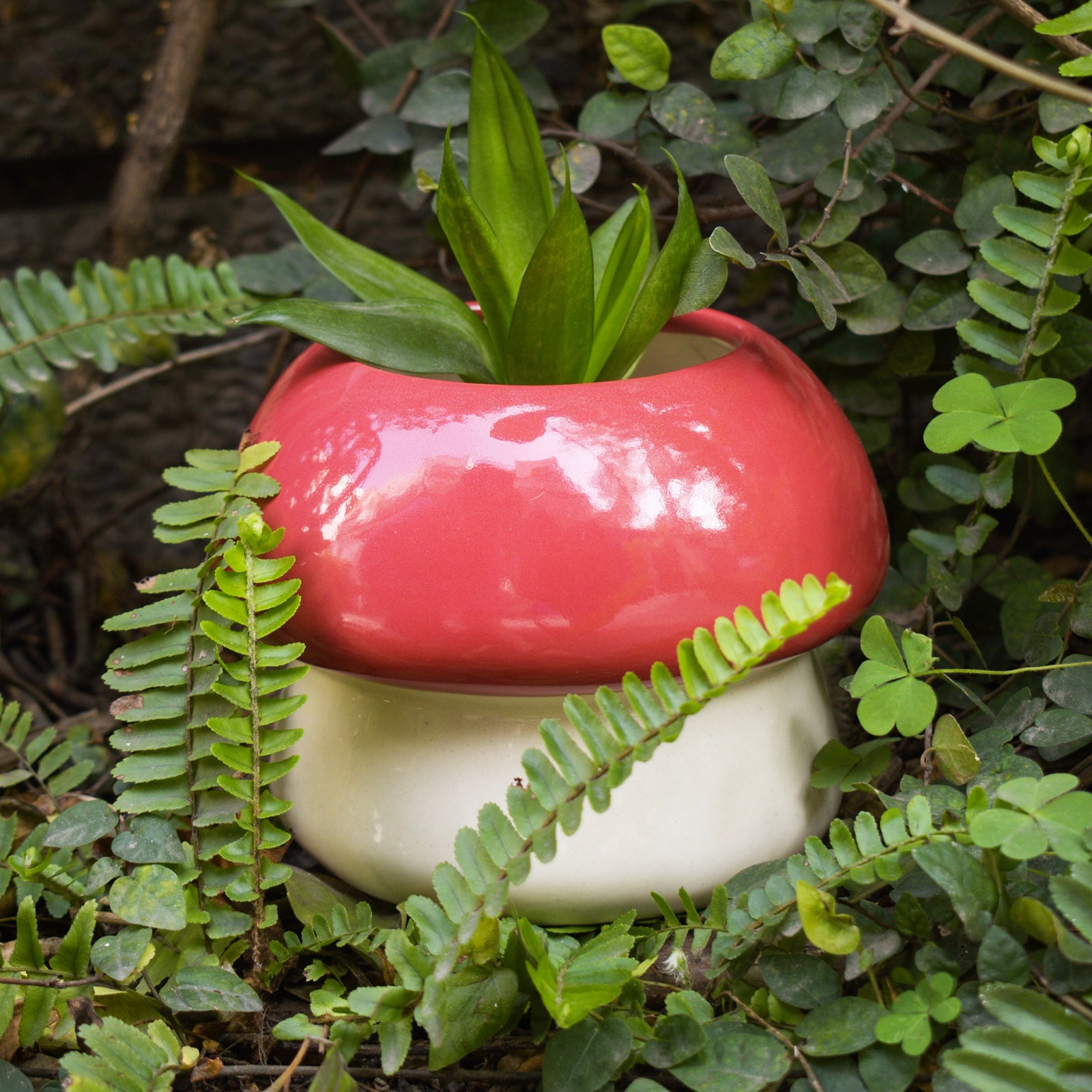 Ceramic Planter - Mushroom
